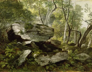 Studie fra naturen: Bergarter og trær, ca. 1856